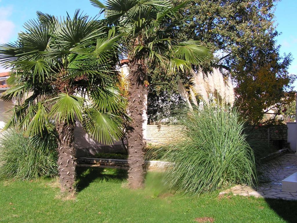 Apartments Oaza Regi Медулин Экстерьер фото